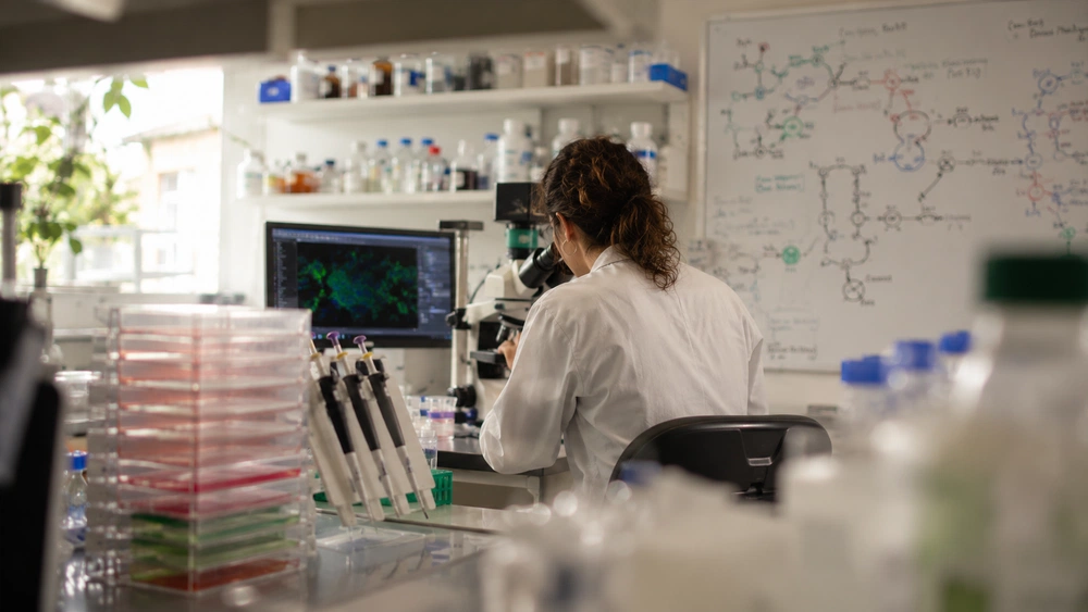 Una persona con bata blanca observa por el microscopio en un laboratorio de biología molecular, con placas de cultivo en primer plano y rutas de señalización dibujadas en la pizarra