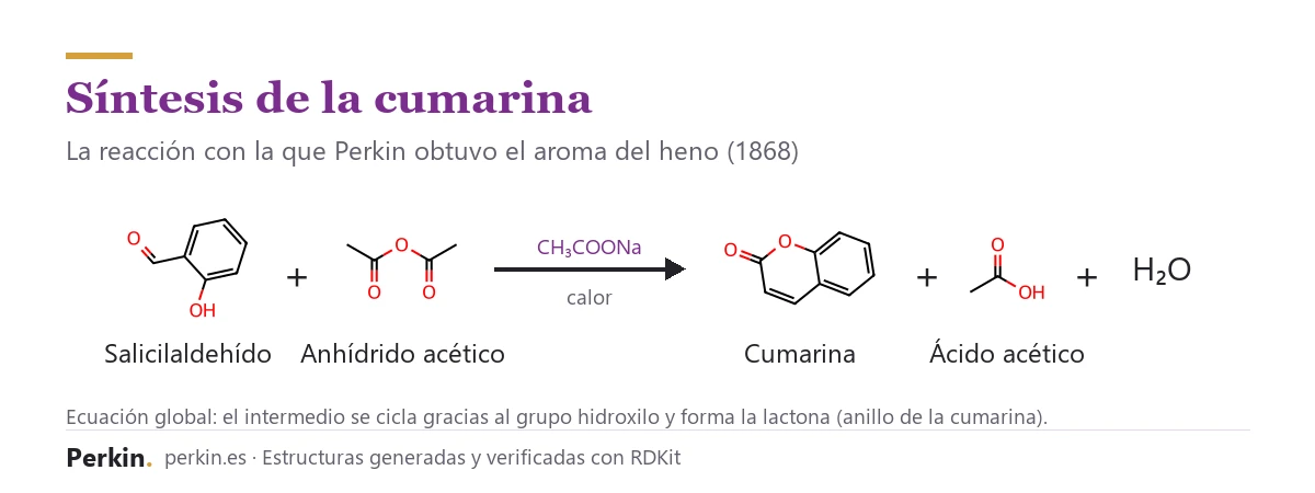 Síntesis de la cumarina por la reacción de Perkin: salicilaldehído más anhídrido acético da cumarina, ácido acético y agua